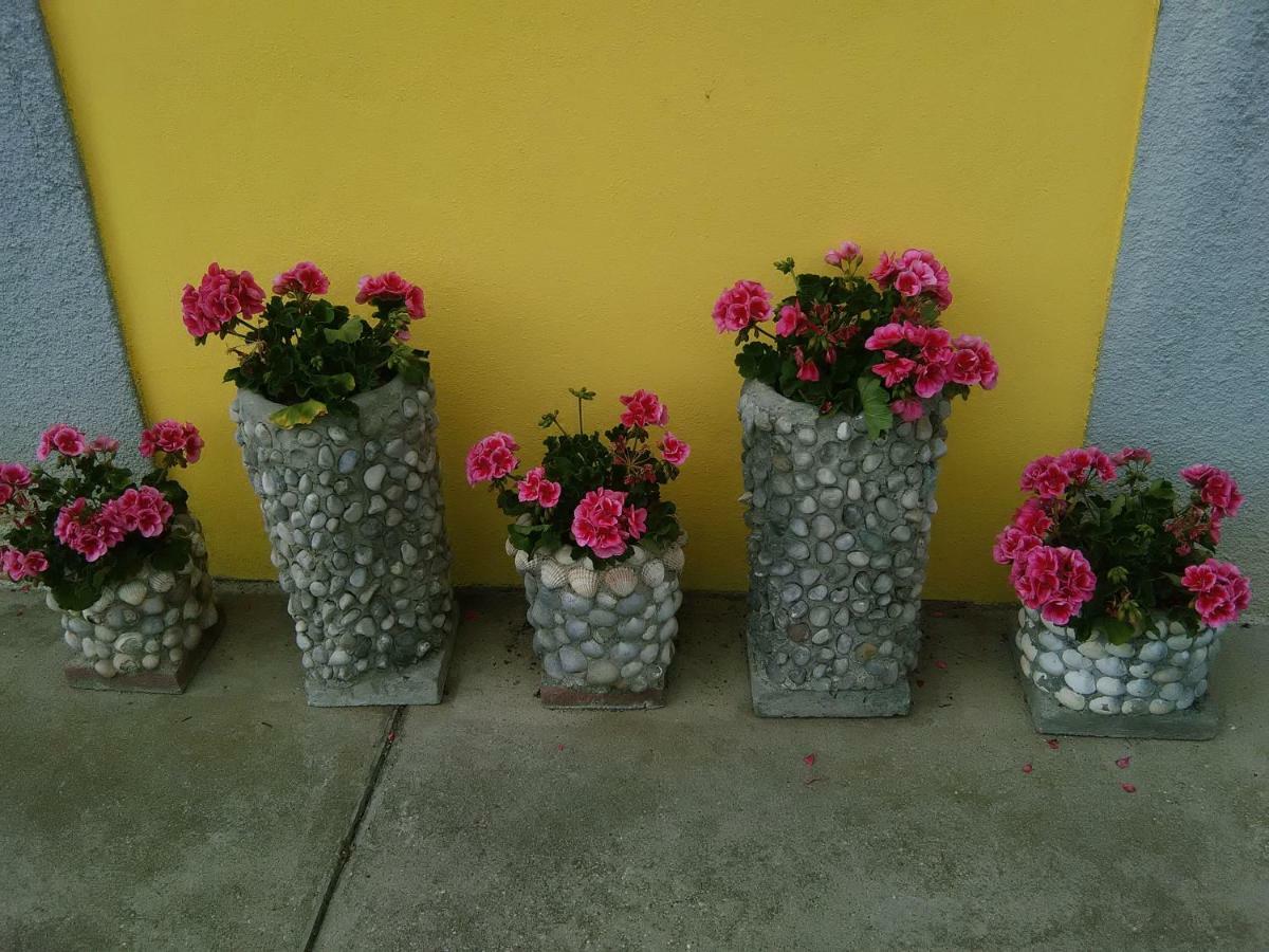 B&B Tisoi Belluno Luaran gambar