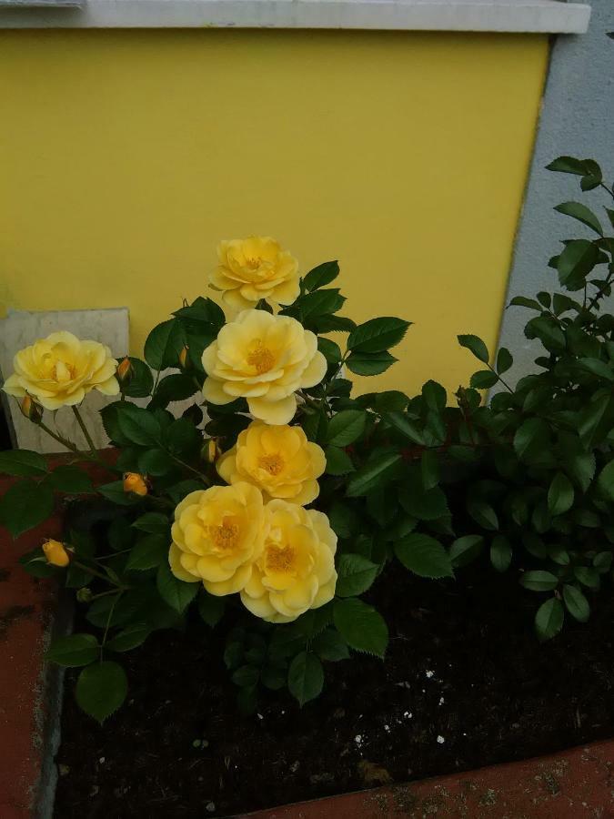 B&B Tisoi Belluno Luaran gambar